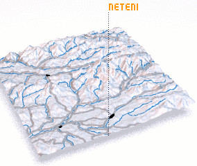 3d view of Neţeni