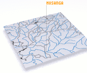 3d view of Musanga