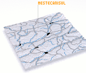 3d view of Mestecănişul