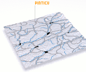 3d view of Pinticu