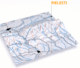 3d view of Pieleşti