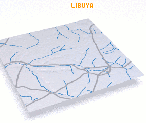 3d view of Libuya