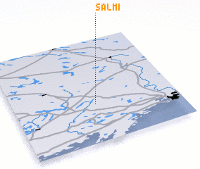 3d view of Salmi