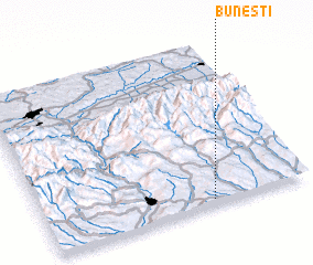 3d view of Buneşti