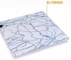 3d view of Blyudniki