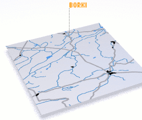 3d view of Borki