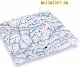 3d view of Borşa-Tăetura