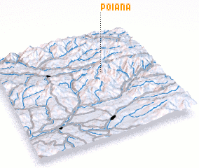 3d view of Poiana