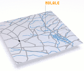 3d view of Molale