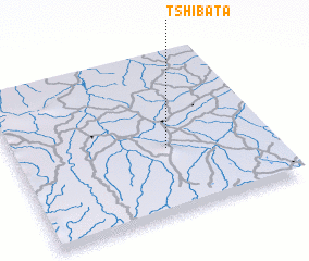 3d view of Tshibata