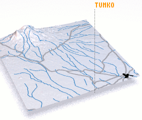3d view of Tumko