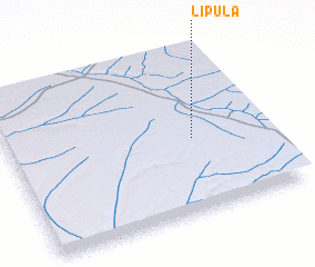 3d view of Lipula
