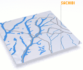 3d view of Sachibi