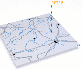 3d view of Netsy