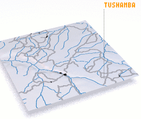 3d view of Tushamba