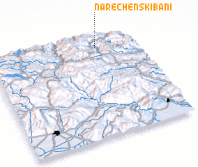 3d view of Narechenski Bani