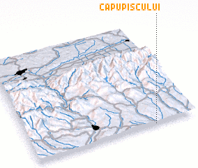 3d view of Capu Piscului