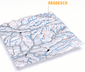 3d view of Negoescu