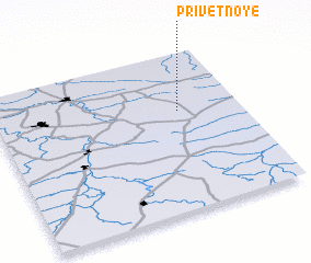 3d view of Privetnoye