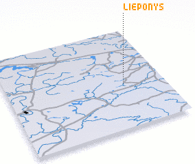 3d view of Lieponys