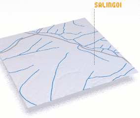 3d view of Salingoi