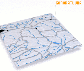 3d view of Gonoratuvka