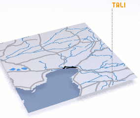 3d view of Tali