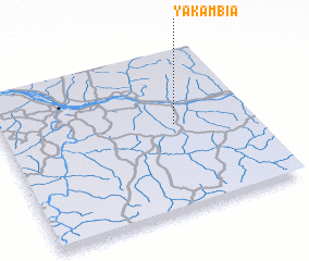 3d view of Yakambia