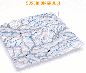 3d view of Susenii Bîrgăului