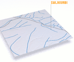 3d view of Salikumbi