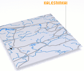 3d view of Kalesninkai