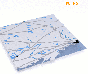 3d view of Petas