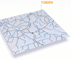 3d view of Tshopo