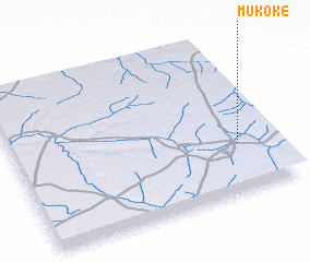 3d view of Mukoke