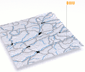 3d view of Boiu