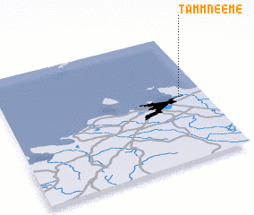 3d view of Tammneeme