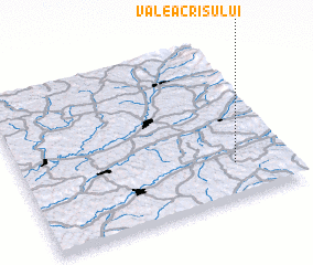 3d view of Valea Crişului