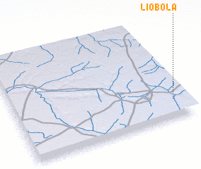 3d view of Liobola