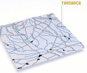 3d view of Tomşanca