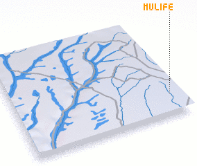 3d view of Mulife