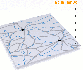 3d view of Drublionys