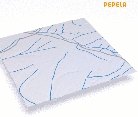 3d view of Pepela
