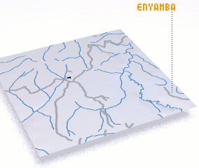 3d view of Enyamba