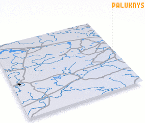 3d view of Paluknys