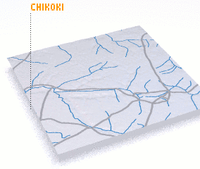 3d view of Chikoki