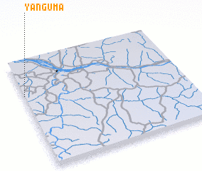 3d view of Yanguma