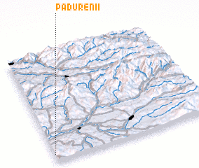 3d view of Pădurenii