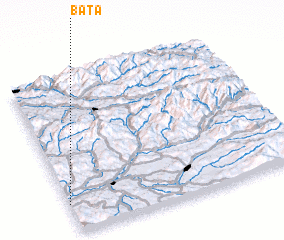 3d view of Baţa