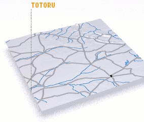3d view of Totoru