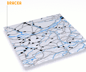 3d view of Dracea